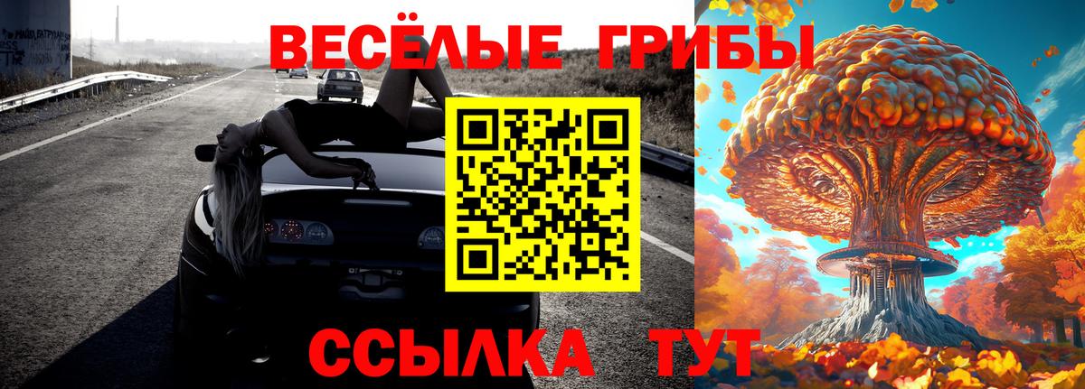 Псилоцибиновые грибы Cubensis Отрадное